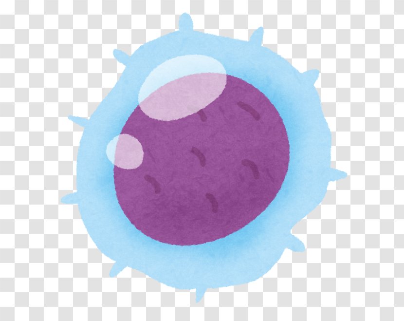 Lymphocyte White Blood Cell Lymph Node Lymphatic System - T Transparent PNG