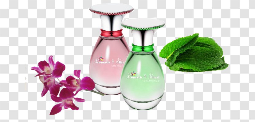 Perfume Aroma Compound Fragrance Oil Cajeput - Spa Transparent PNG