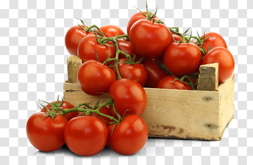 Tomato Organic Food Cultivar Fertilisers Transparent PNG