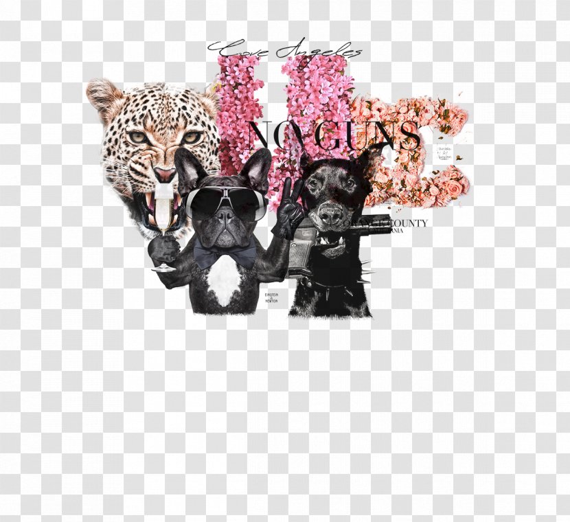 Fur Pink M Animal - All Time Transparent PNG
