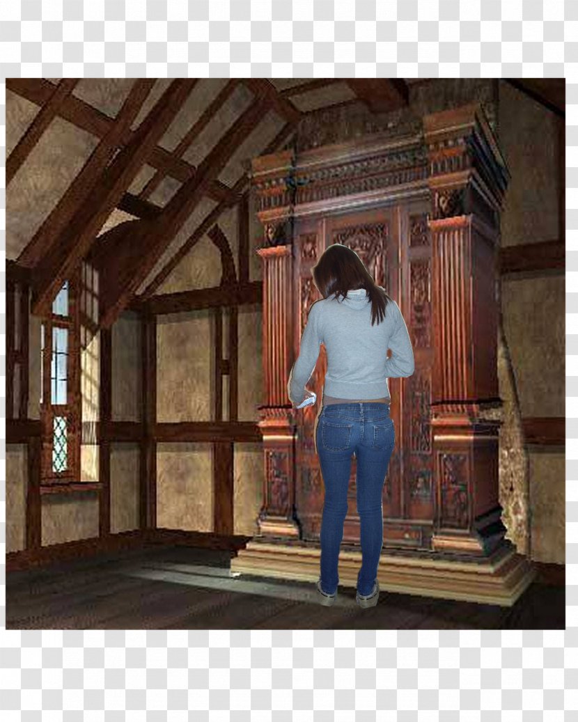 The Lion, Witch And Wardrobe Lucy Pevensie Aslan Edmund Digory Kirke - Lion - Bedroom Transparent PNG