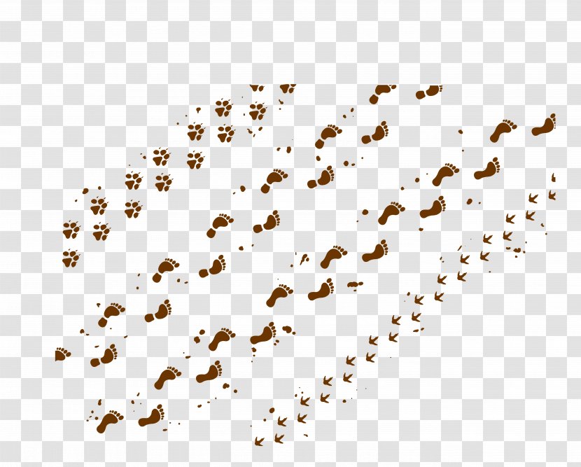 Dog Footprint Mud Computer File - Animal Track - A Variety Of Footprints With Transparent PNG