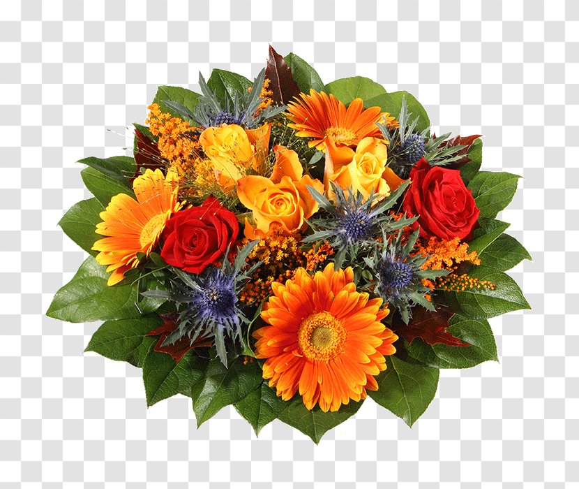 Transvaal Daisy Cut Flowers Flower Bouquet Blumenversand - Flowering Plant Transparent PNG