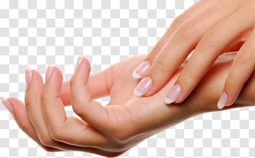 Hand Skin Itch Xeroderma Moisturizer - Hair Transparent PNG