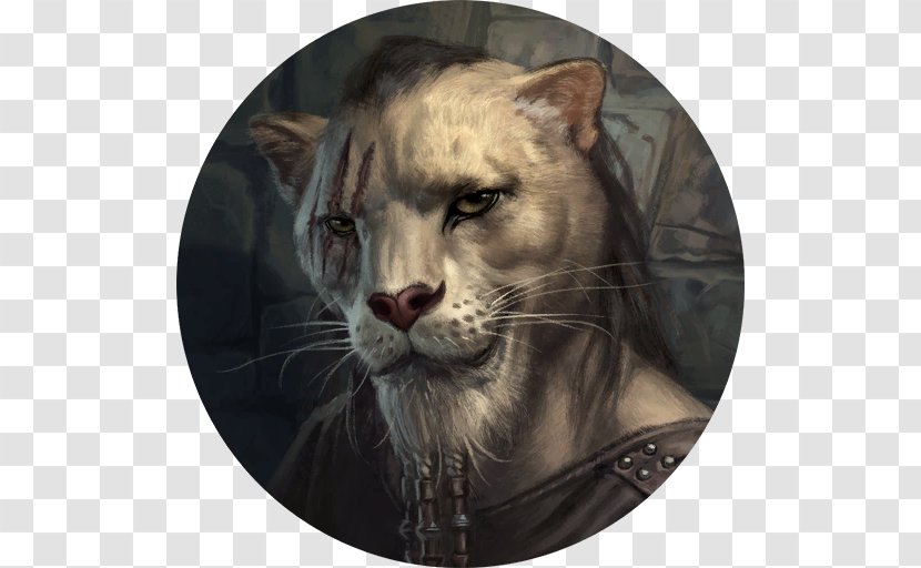 The Elder Scrolls: Legends Whiskers Cat Narrator Minecraft: Story Mode - Puma - Big Transparent PNG