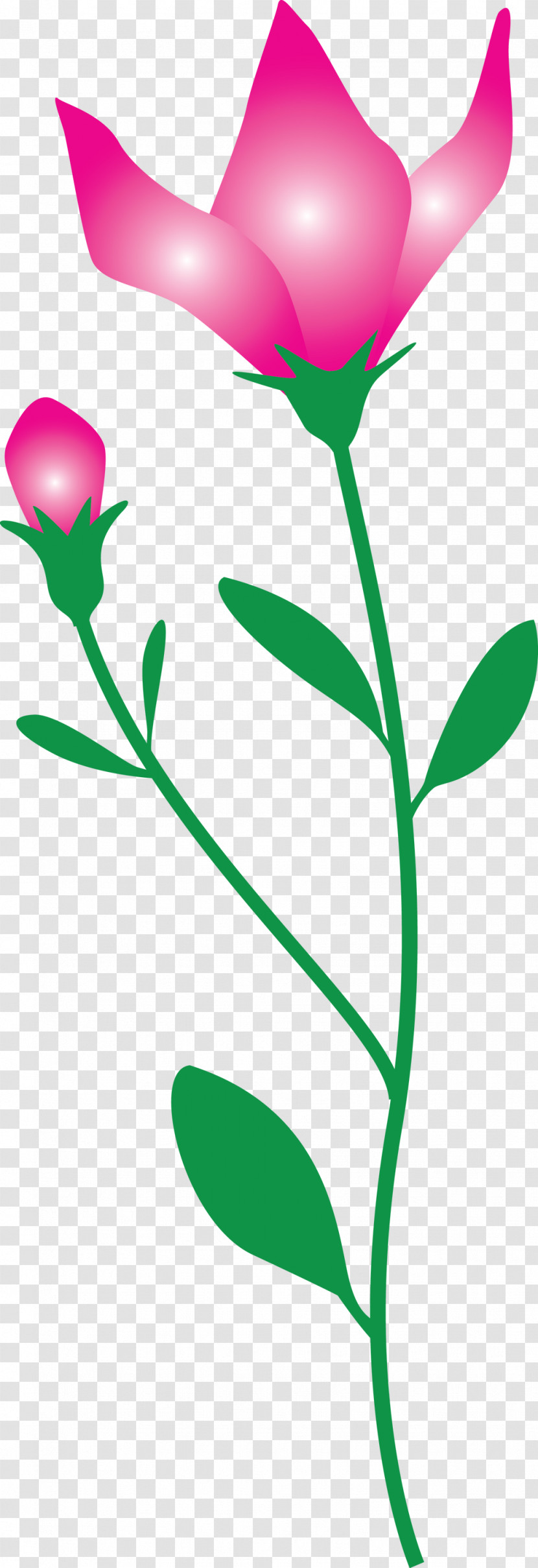 Balloon Flower Transparent PNG