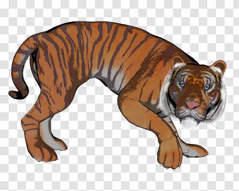 Tiger Lion Fauna Wildlife Puma - Animal Figure Transparent PNG