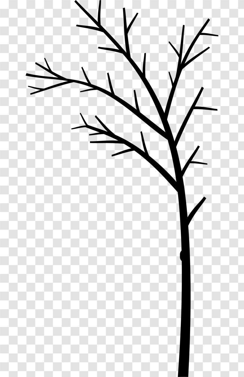 Clip Art Plant Stem Angle Leaf Flower - Grass Family - Twig Transparent PNG