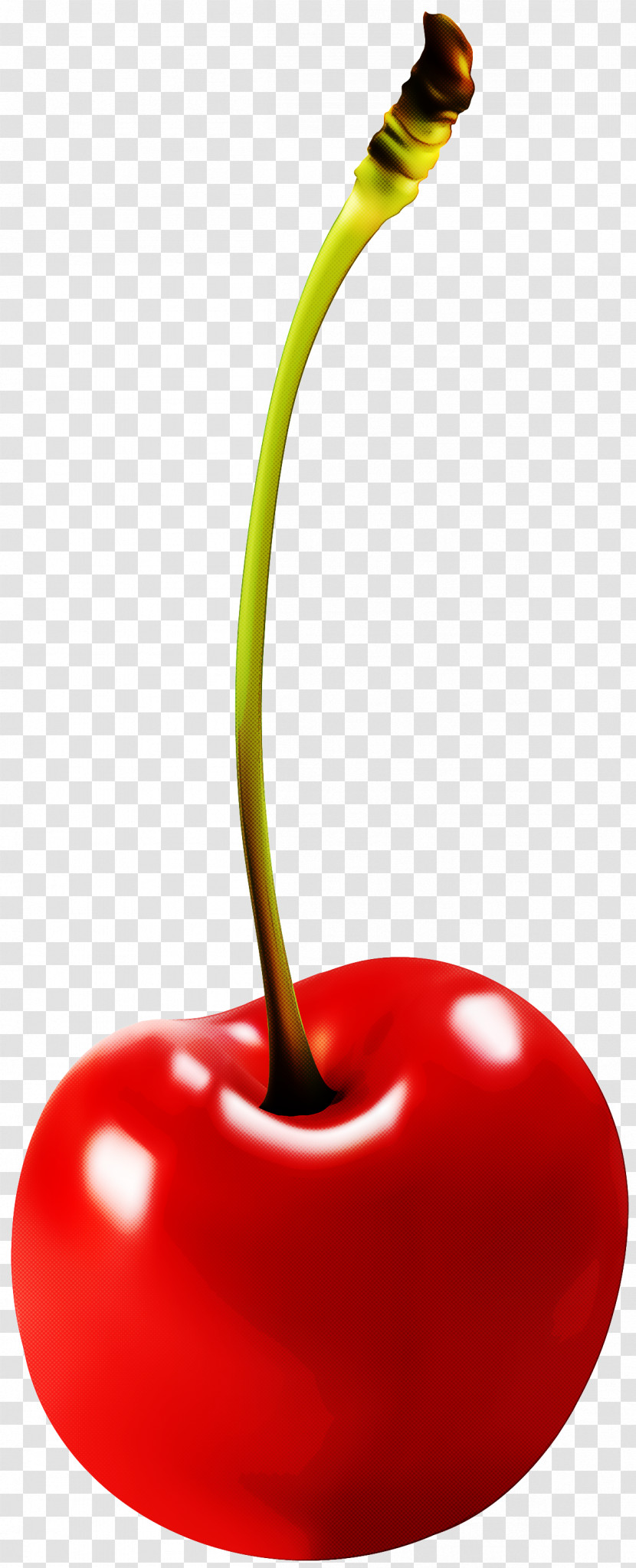 Cherry Red Fruit Plant Food Transparent PNG