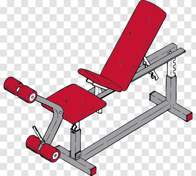 Exercise Equipment Physical Fitness Centre Bench Clip Art - Weights - Pictures Transparent PNG