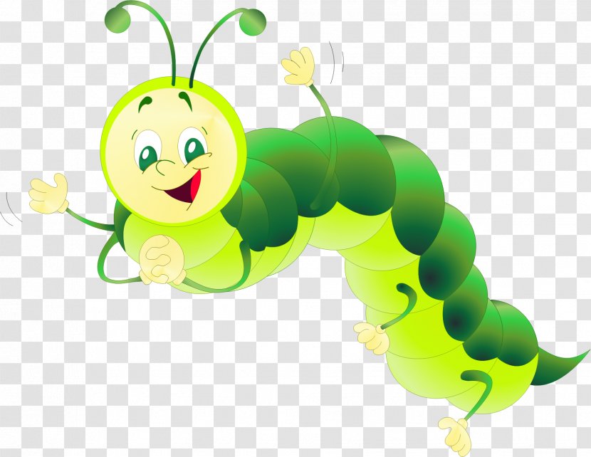 Butterfly Caterpillar Insect Euclidean Vector - Green - Cartoon Transparent PNG
