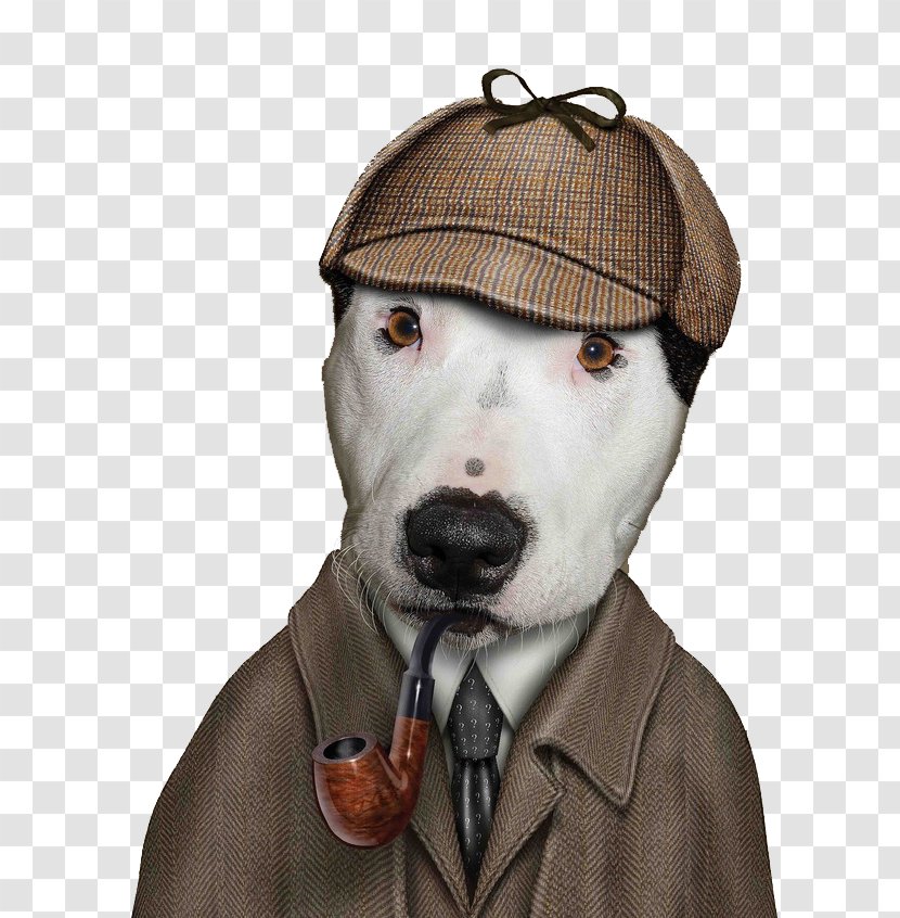 Dog Famous Faces Celebrity TeNeues Pet - Headgear - Puppy Cos Amols Transparent PNG