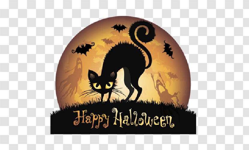 Halloween Black Cat Clip Art - Cobweb Cartoon Transparent PNG
