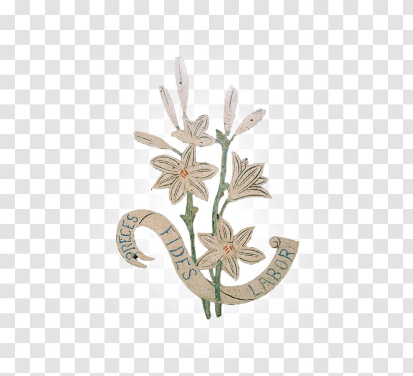 Flower - Flora Transparent PNG