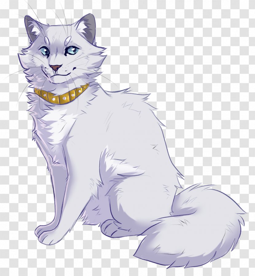 Whiskers Tabby Cat Domestic Short-haired Wildcat - Line Art Transparent PNG