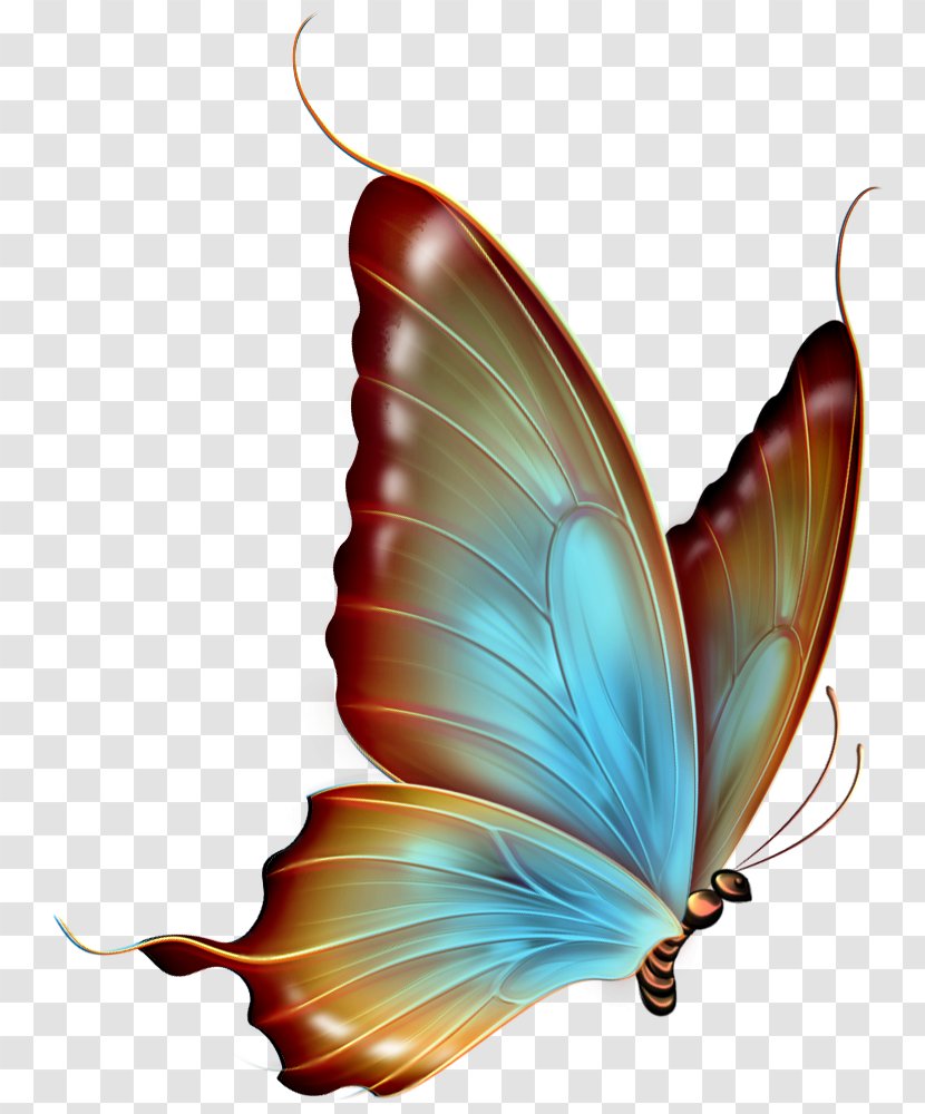 Butterfly Clip Art - Red - Free Cliparts Butterflies Transparent PNG