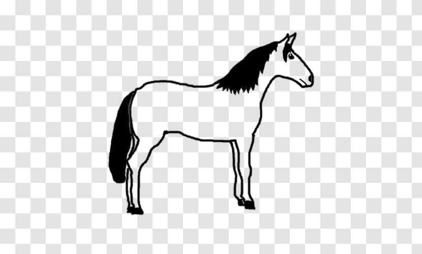 Mule Foal Stallion Pony Mustang - Monochrome Transparent PNG
