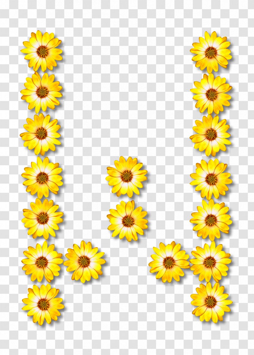 Common Sunflower Alphabet Letter - Cut Flowers - Flower Transparent PNG