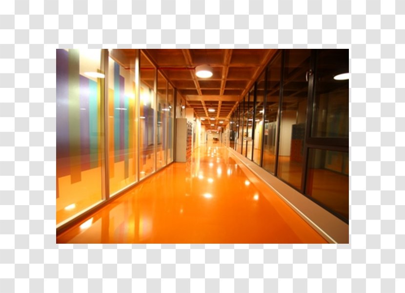 Floor Leisure Centre Daylighting Wall Division - Flooring - Light Transparent PNG