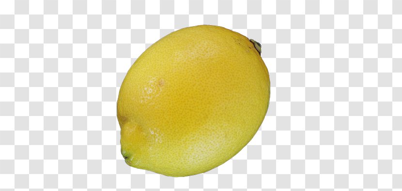Lemon Sour Yellow - Garratz Transparent PNG