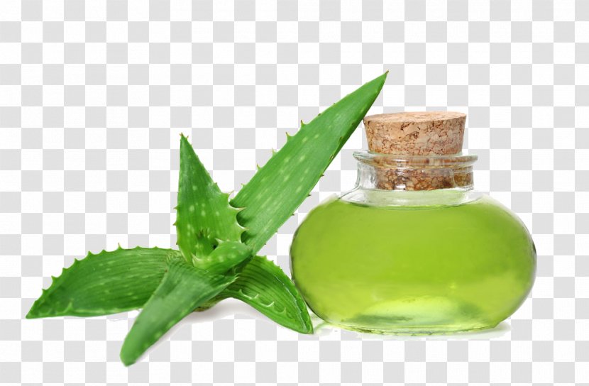 Aloe Vera Gel Oil Skin Care Health - Water Transparent PNG