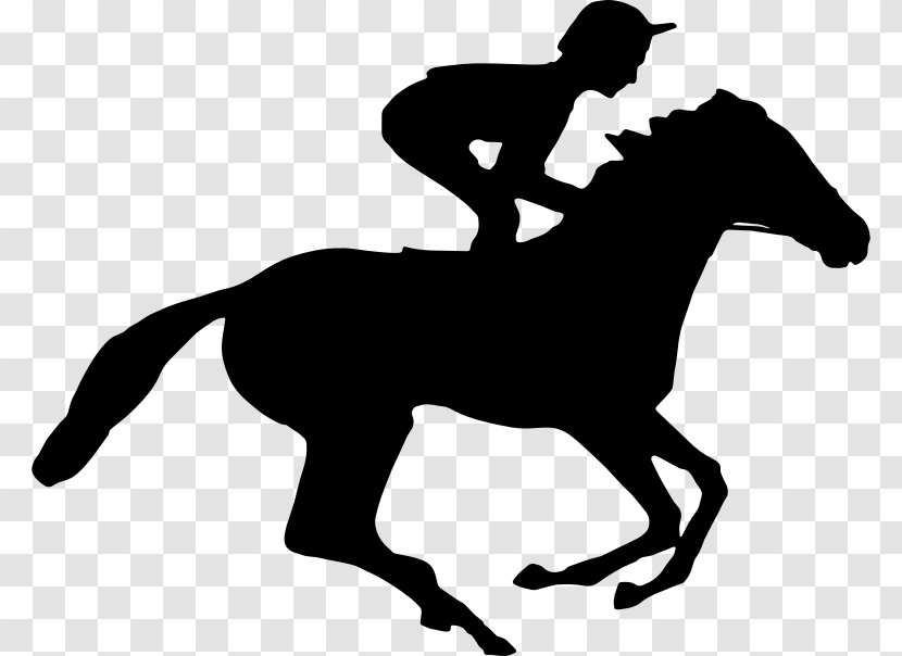 Horse Racing Equestrian Jockey Standing - Riding Transparent PNG