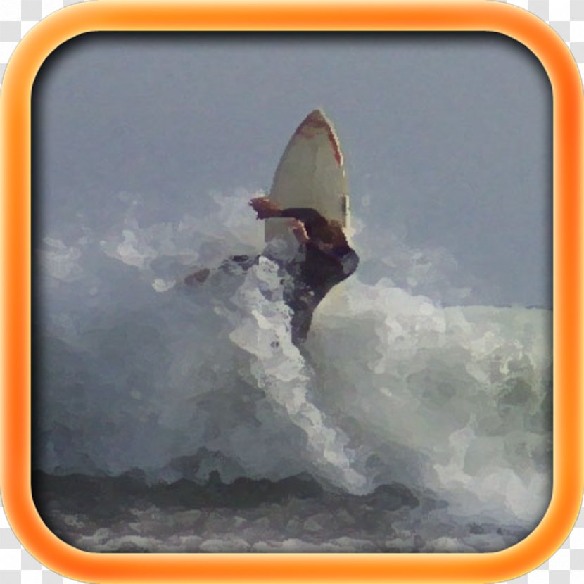 Boardsport Surfboard Surfing Extreme Sport - Surf Transparent PNG