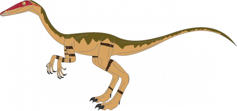 Tyrannosaurus Coelophysis Velociraptor Spinosaurus Cryptoclidus - Extinction - Dinosaur Transparent PNG