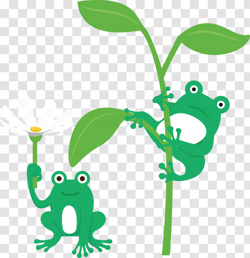Leaf Plant Stem Frogs Tree Frog Cartoon Transparent PNG