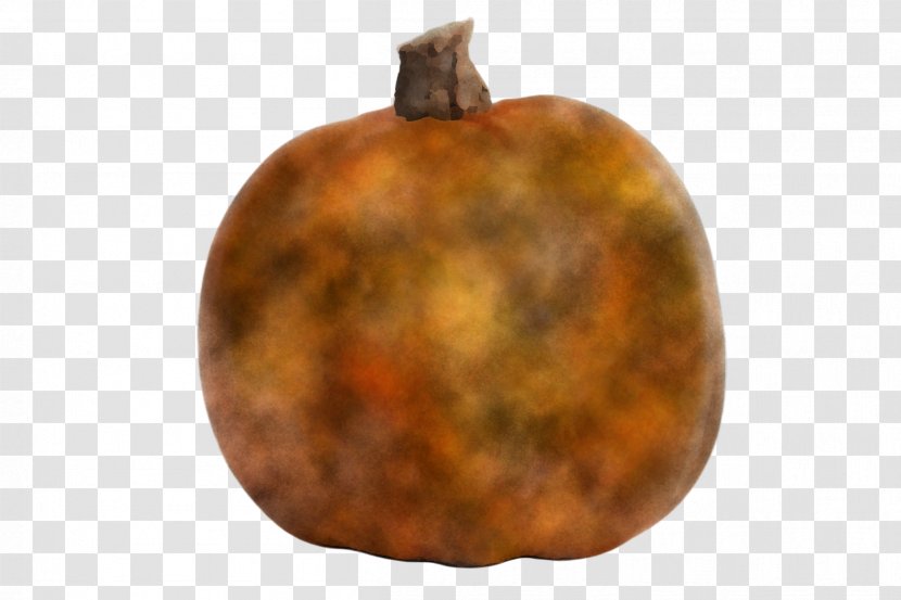 Orange - Fruit - Food Tree Transparent PNG