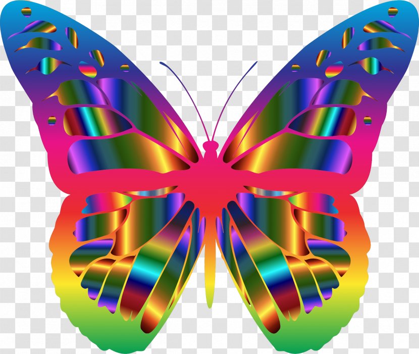 Monarch Butterfly Desktop Wallpaper Clip Art - Heart Transparent PNG