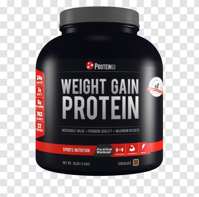 Dietary Supplement Bodybuilding Weight Gain Protein - Lose Transparent PNG