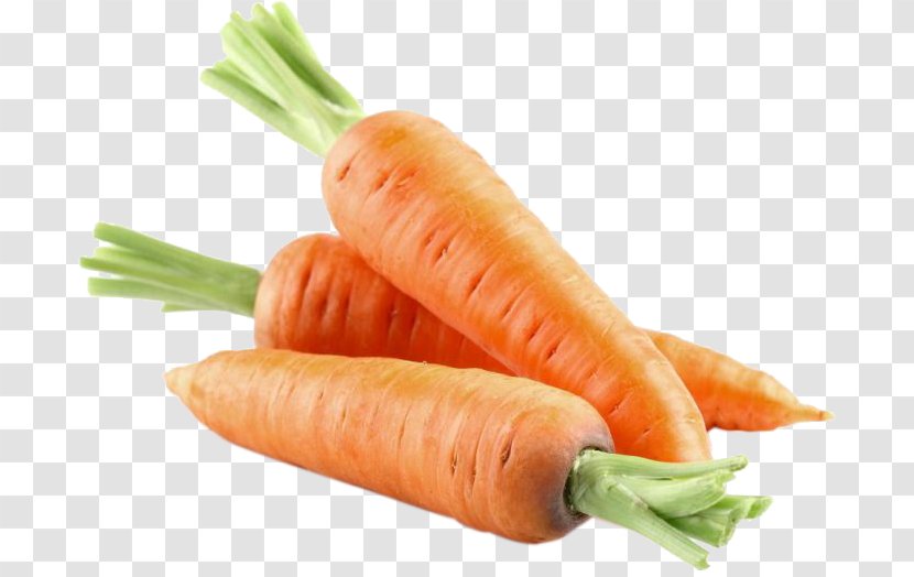 Carrot Peruvian Cuisine Root Vegetables Fruit - Vegetable Transparent PNG