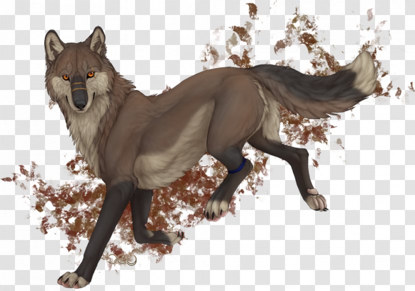 Coyote Dog Gray Wolf Basior Pack - Fauna Transparent PNG