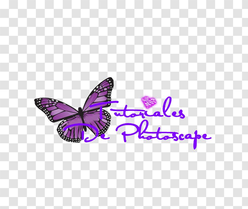 PhotoScape Clip Art Text Image - Monarch Butterfly - Tutorials Transparent PNG