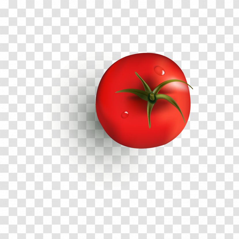Tomato Juice Cherry Soup Sandwich - Strawberry - Red Tomatoes Transparent PNG