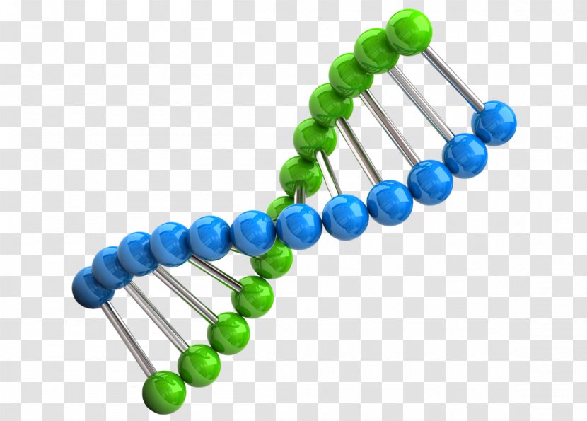 Chromosome Genetics DNA Biology - Computer Engineering - Science Transparent PNG