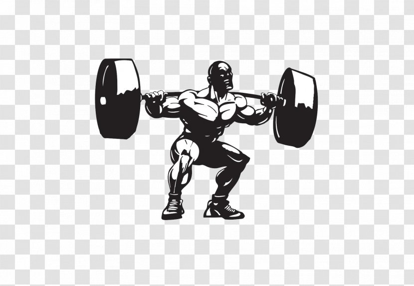 Weight Training Olympic Weightlifting Squat Exercise Fitness Centre - Powerlifting Transparent PNG