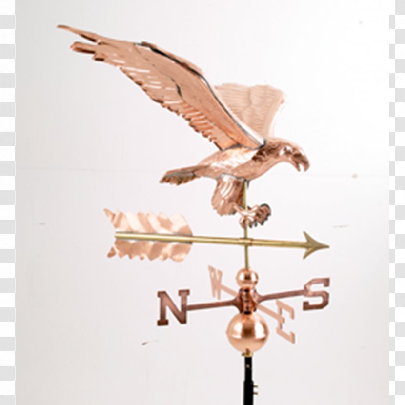 Bird Of Prey - Weather Vane Transparent PNG