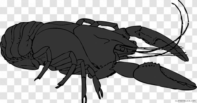Lobster Clip Art Vector Graphics Crayfish Illustration Transparent PNG