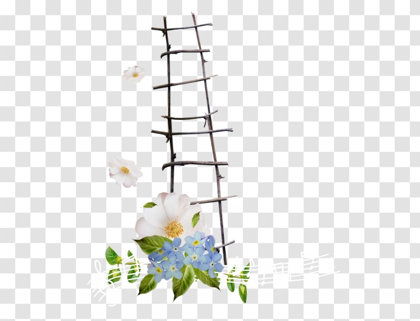 Ladder - Flower Transparent PNG