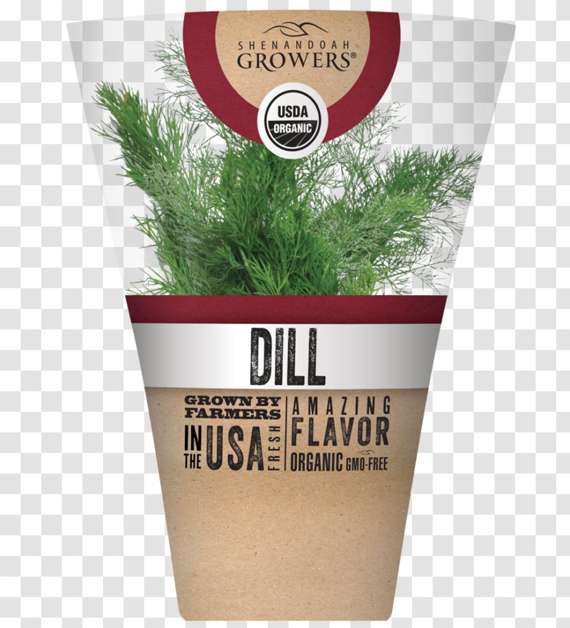 Herb Flowerpot Dill - Grass - Shenandoah Growers Inc Transparent PNG