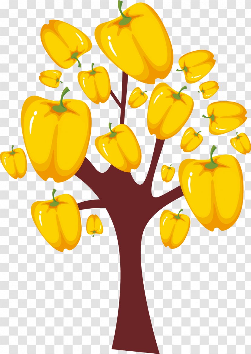 Bell Pepper Habanero - Yellow - Persimmon Trees Grow Beautiful Vector Transparent PNG
