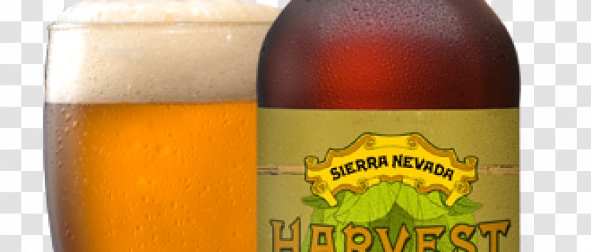 Ale Wheat Beer Lager Bottle - Drink Transparent PNG