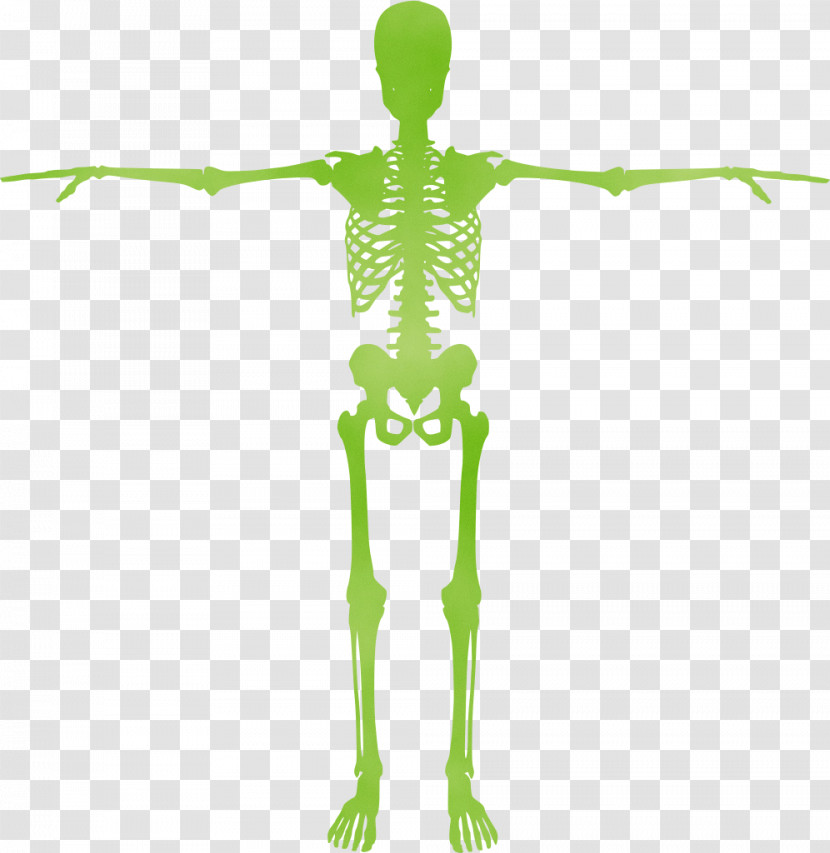 Silhouette Human Skeleton Drawing Human Skeleton Transparent PNG
