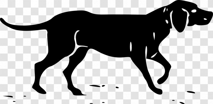 Basset Hound Southern Hunting Dog Clip Art - Wildlife - Dachshund Transparent PNG