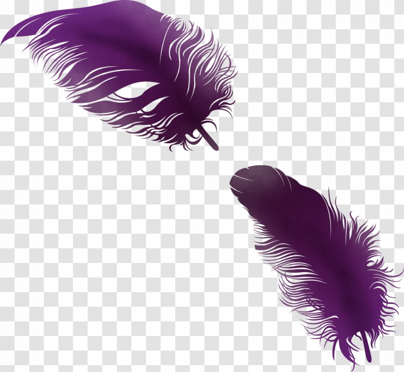 Feather PhotoScape Clip Art - Gimp - Sparrow Transparent PNG