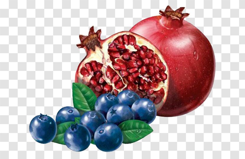 Cranberry Frutti Di Bosco Pomegranate Fruit Illustration - Vegetable - Blueberry Transparent PNG