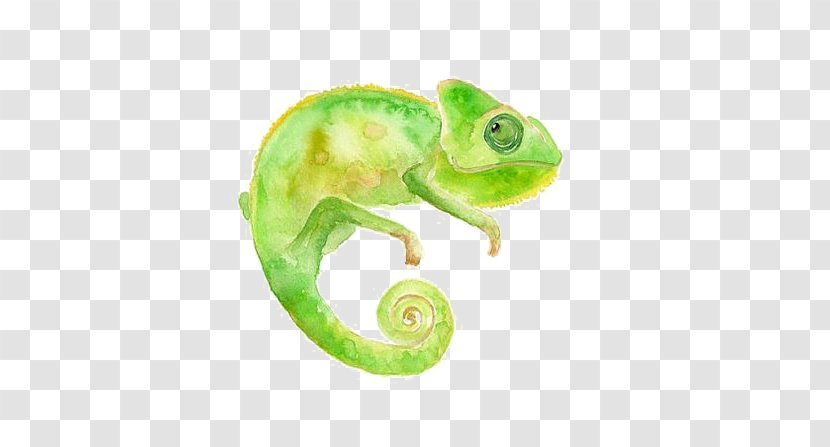 Chameleons Reptile Lizard - Chameleon Transparent PNG