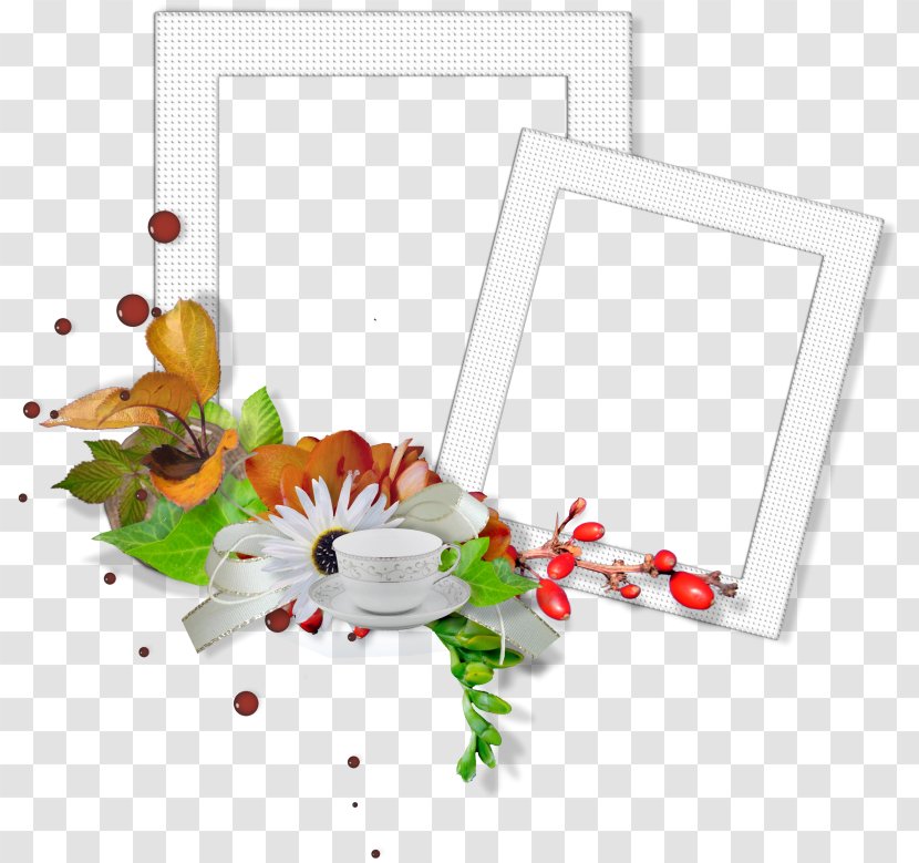 Picture Frames MOEBE Frame Image Email Photography - Animation - Freshness Transparent PNG